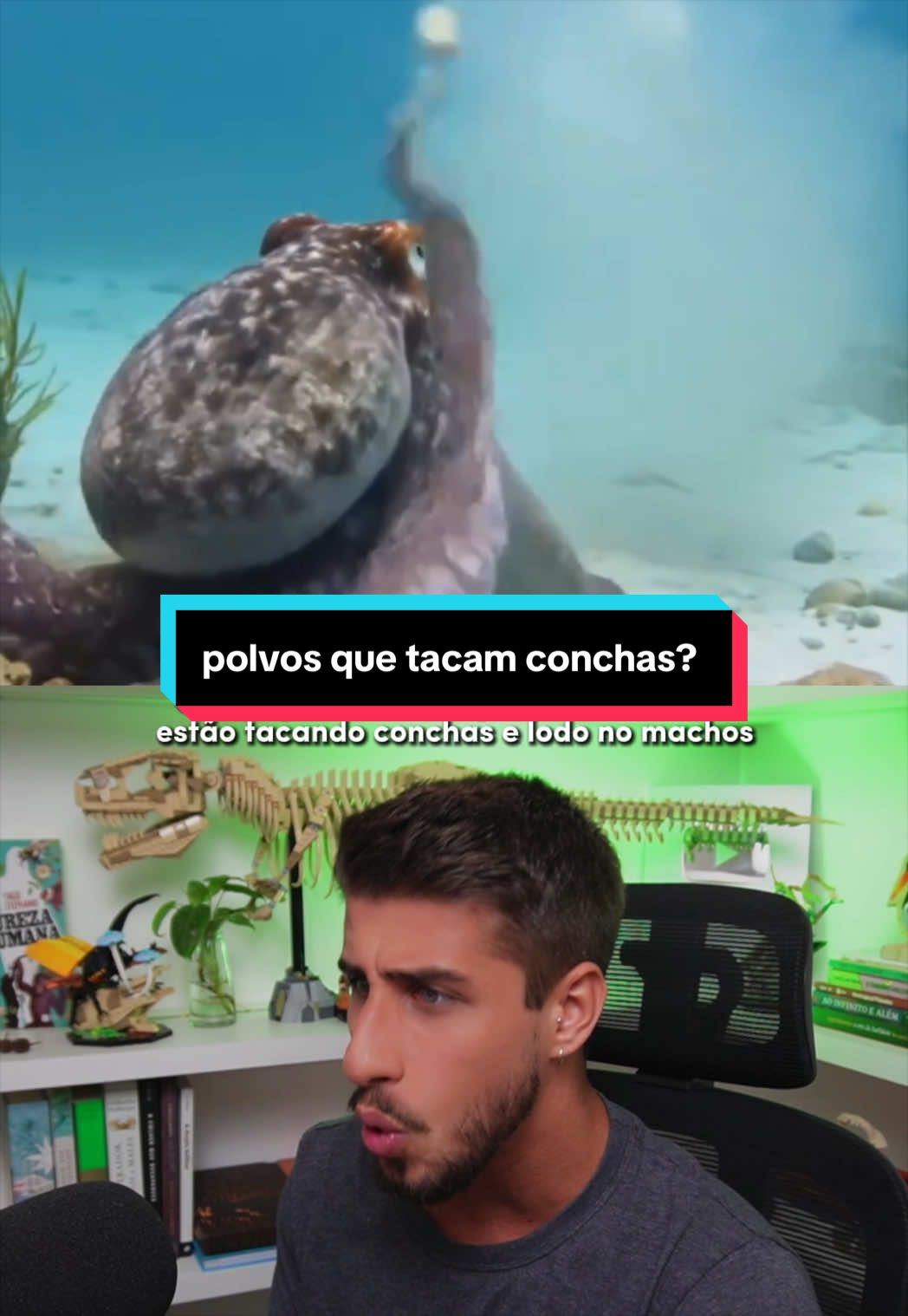 @Yago Stephano