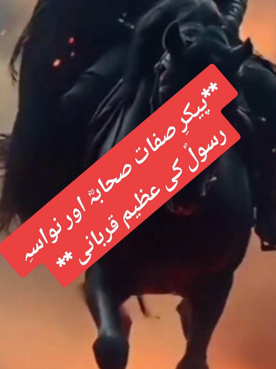 @🌟🇵🇰Gohar_e_Nayab🇵🇰🌟