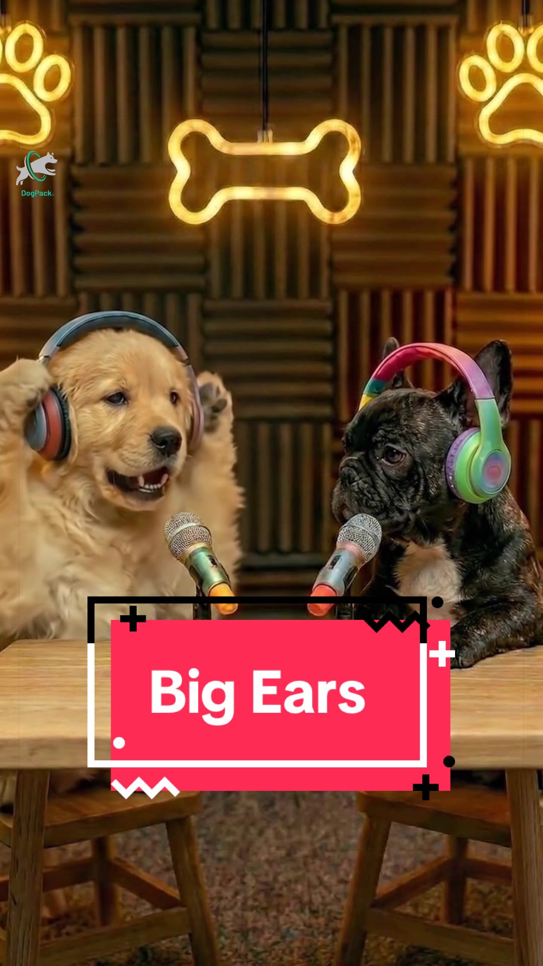 @DogPack