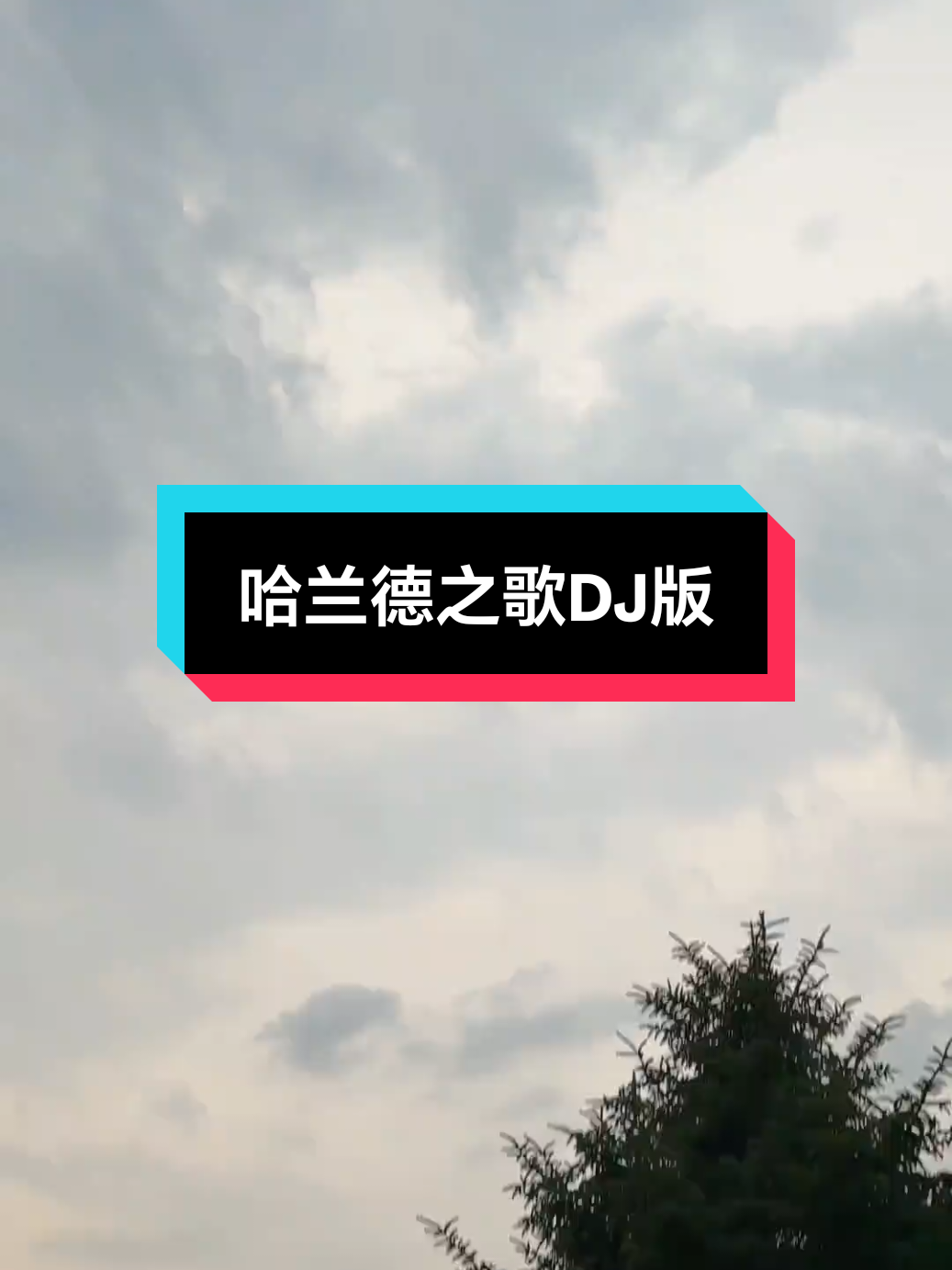 @音乐馆🎶