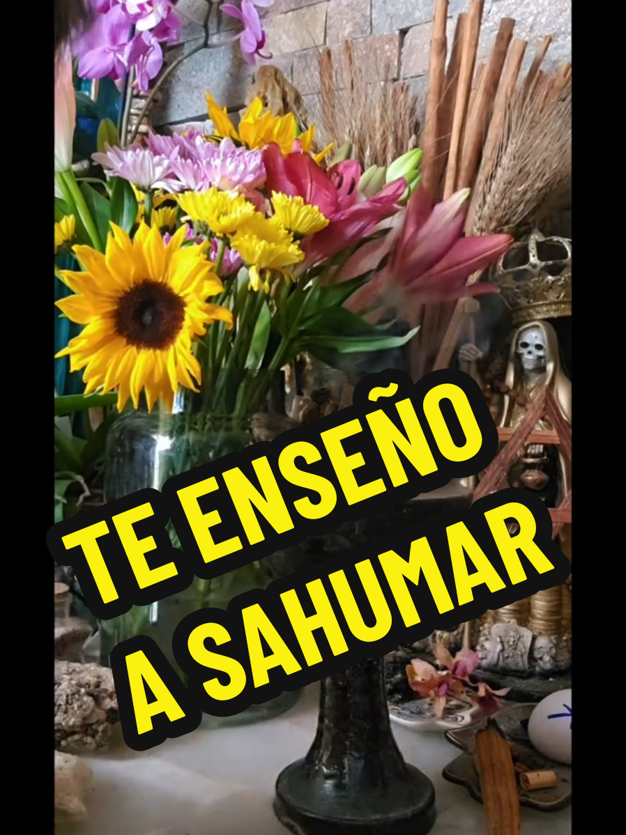 @Bruja C&oacute;smica Oficial