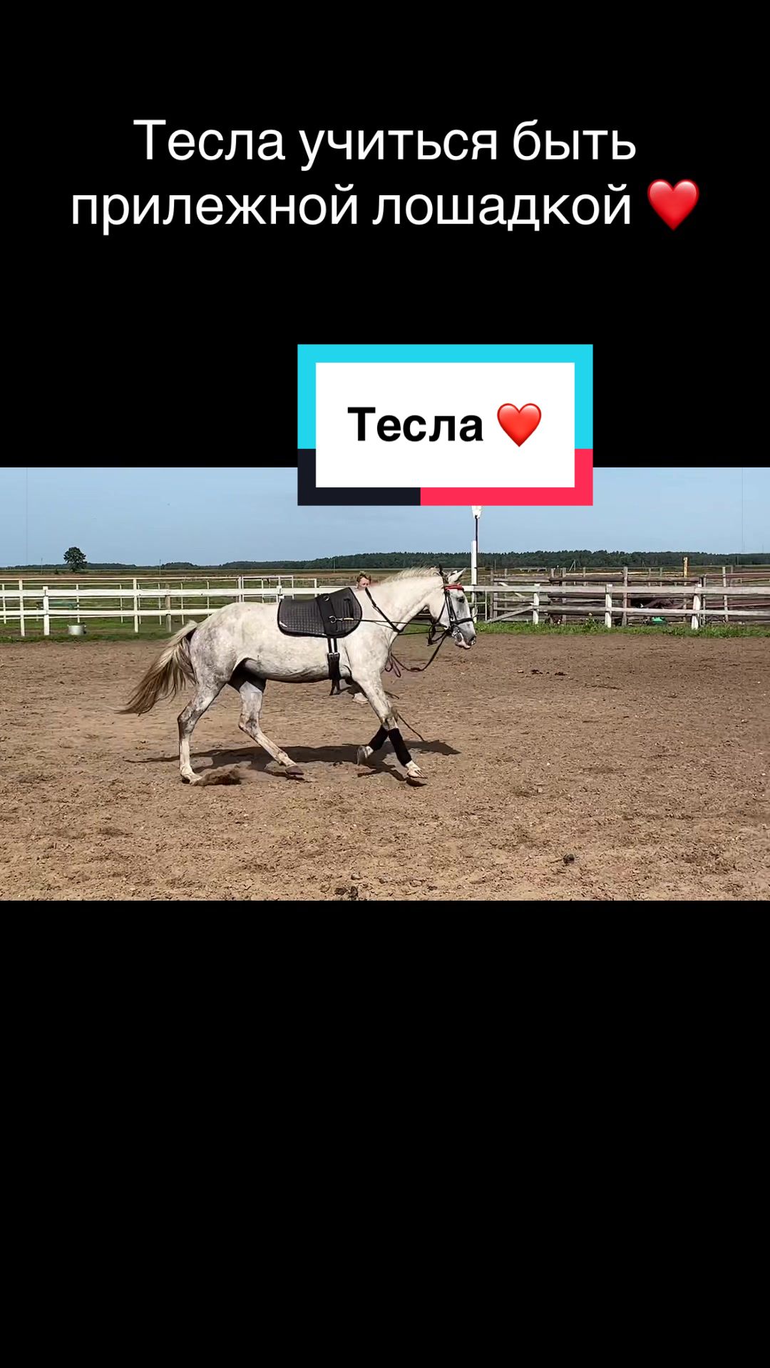 @Анастасия Чернявская.