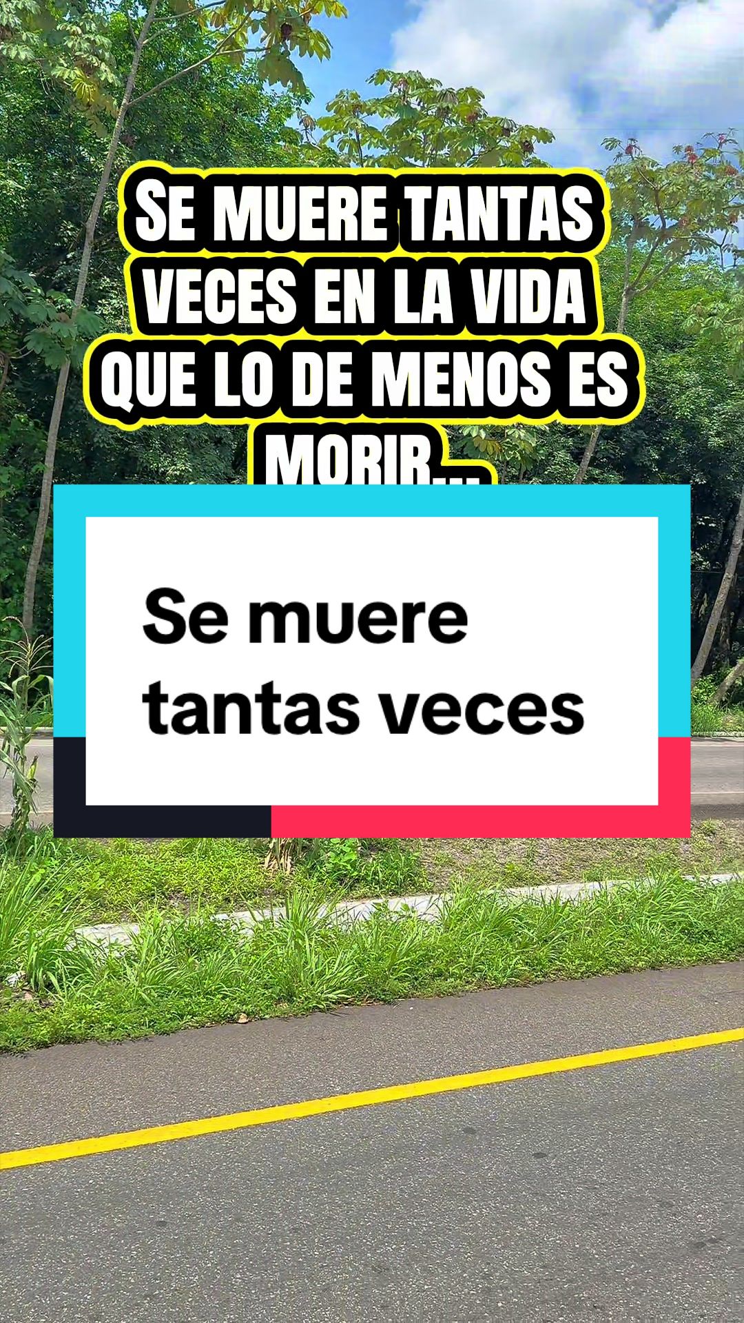 @Nery 🍍