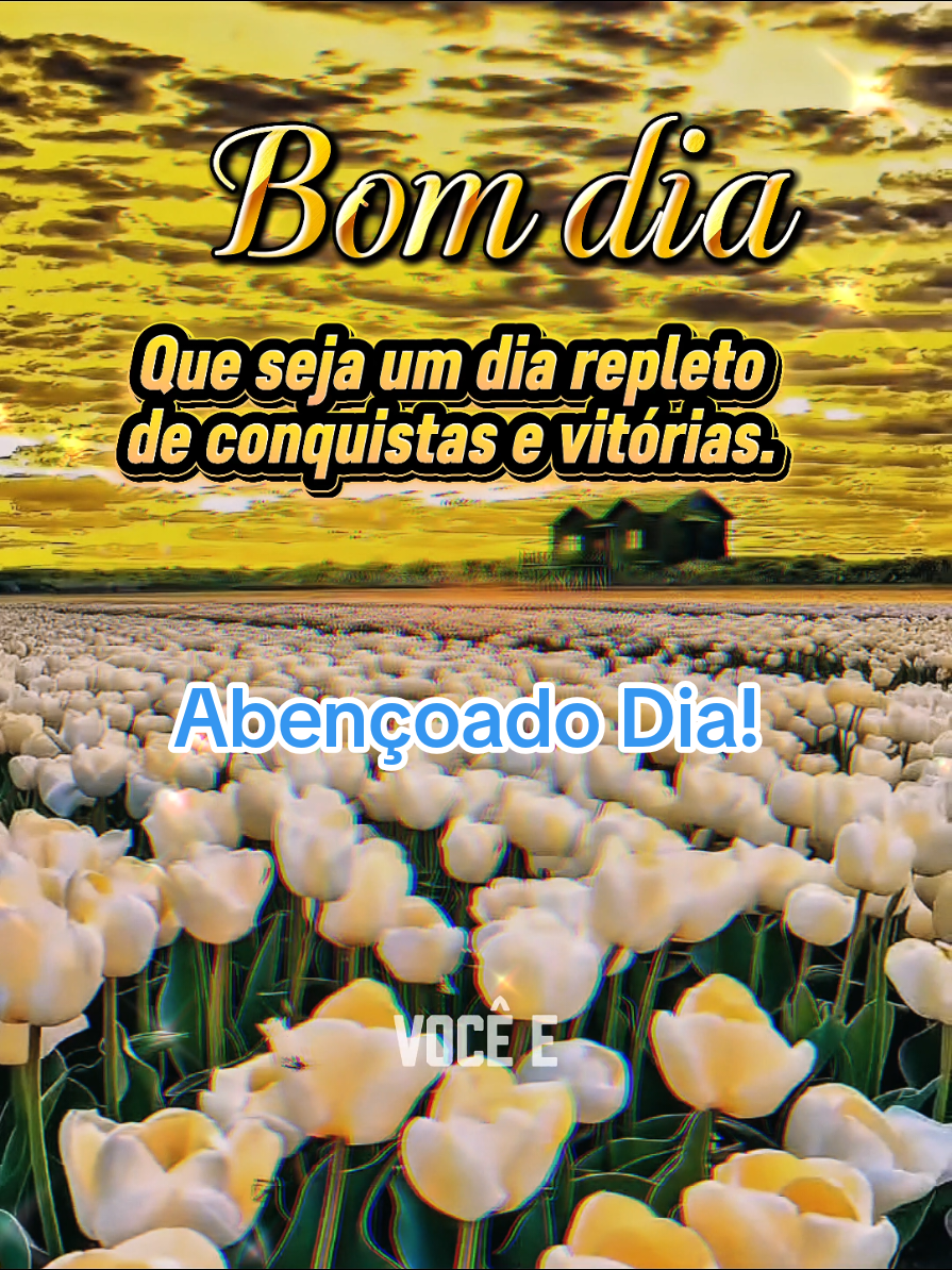@César A. A. Santos