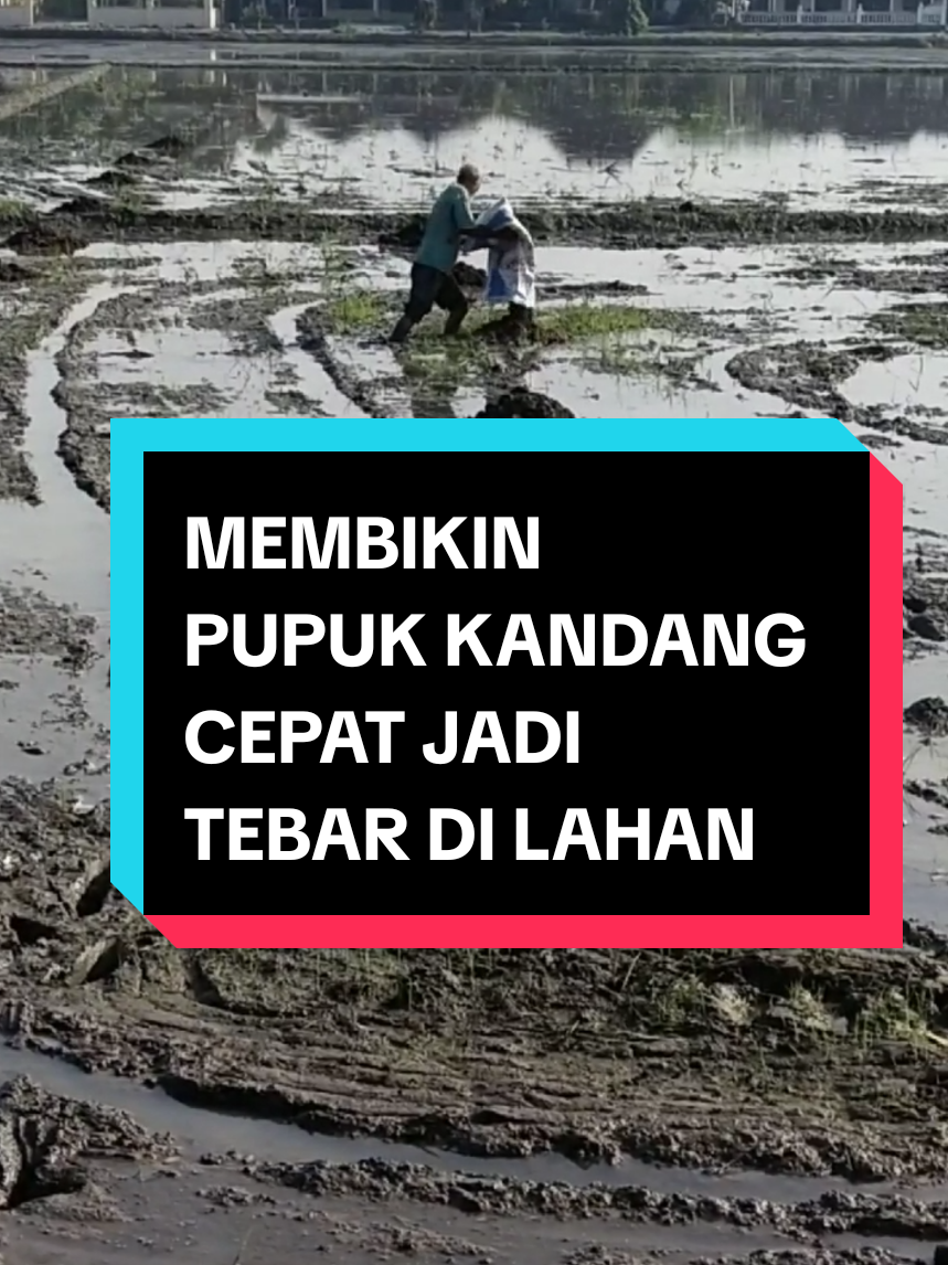 @PPL KOTAMAKMUR