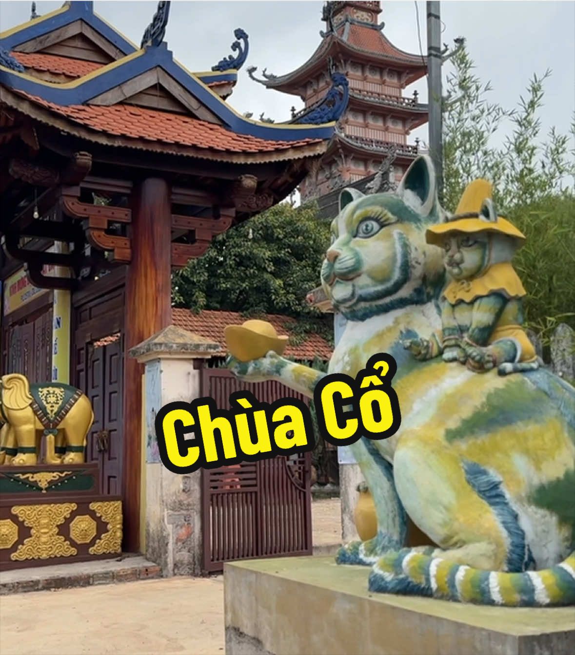 @Hỷ Lạc Du Ký 🇻🇳