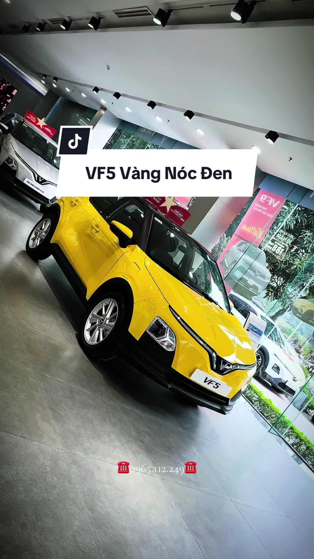 @Vũ Lâm VinFast🚘🍀