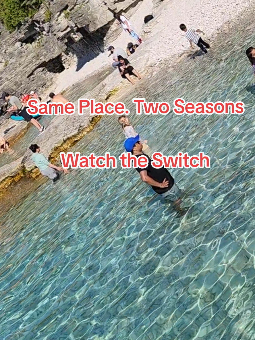 @Travelling Chicken Tours