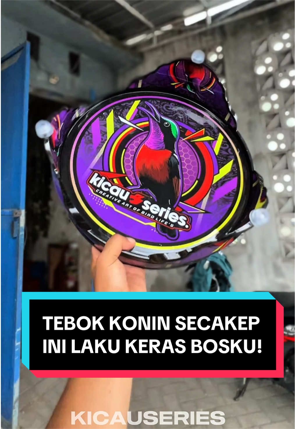 @kicauseries
