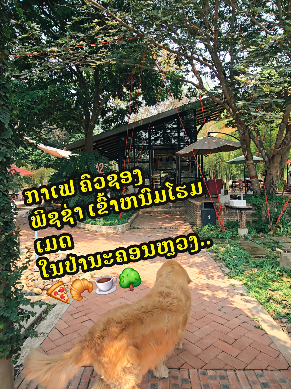@Switch cafe ສະວິດຈ ຄາເຟ່