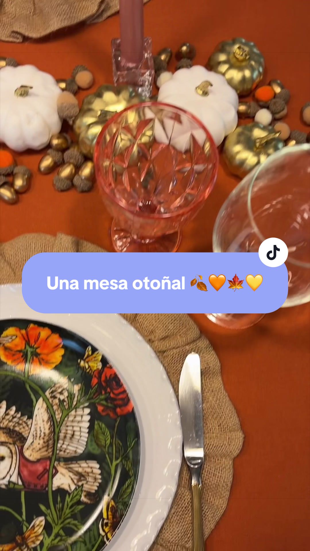 @aniavillasenor