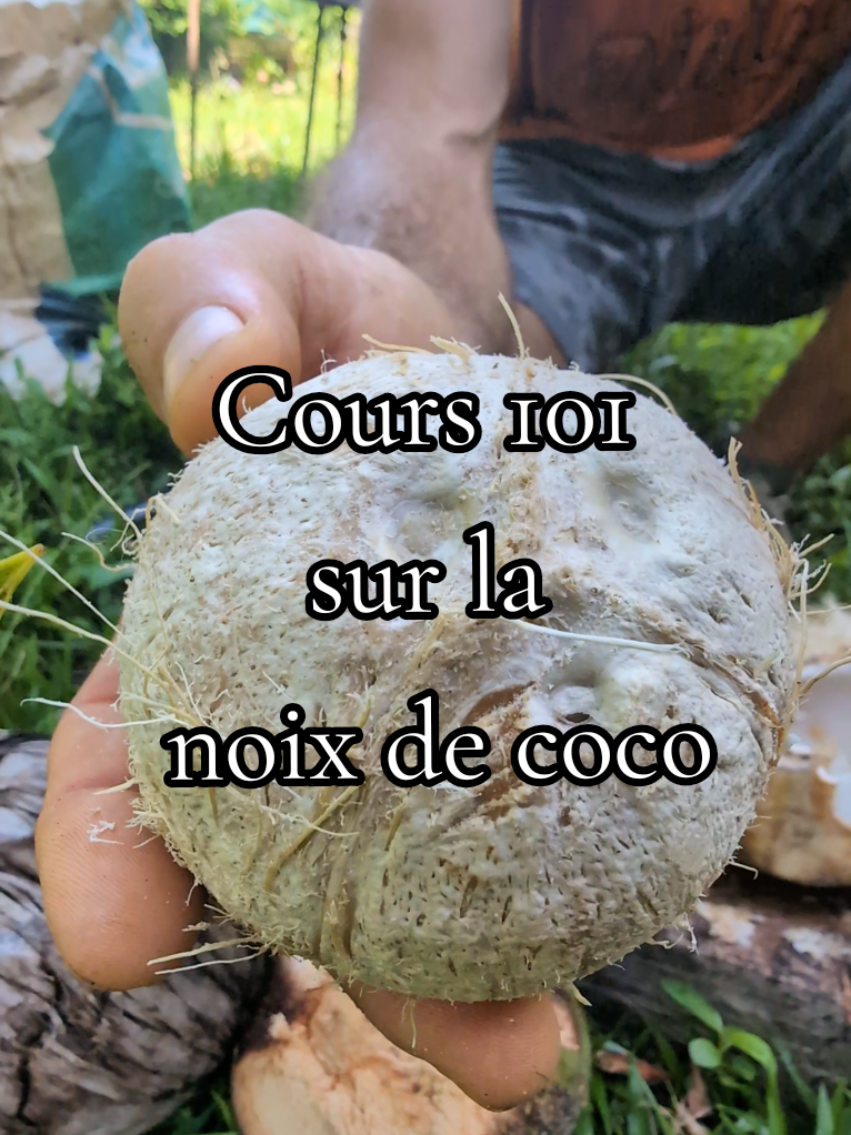 @M&eacute;lanie | Soins Holistiques