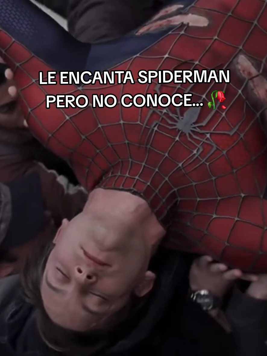 @Javito 🪏