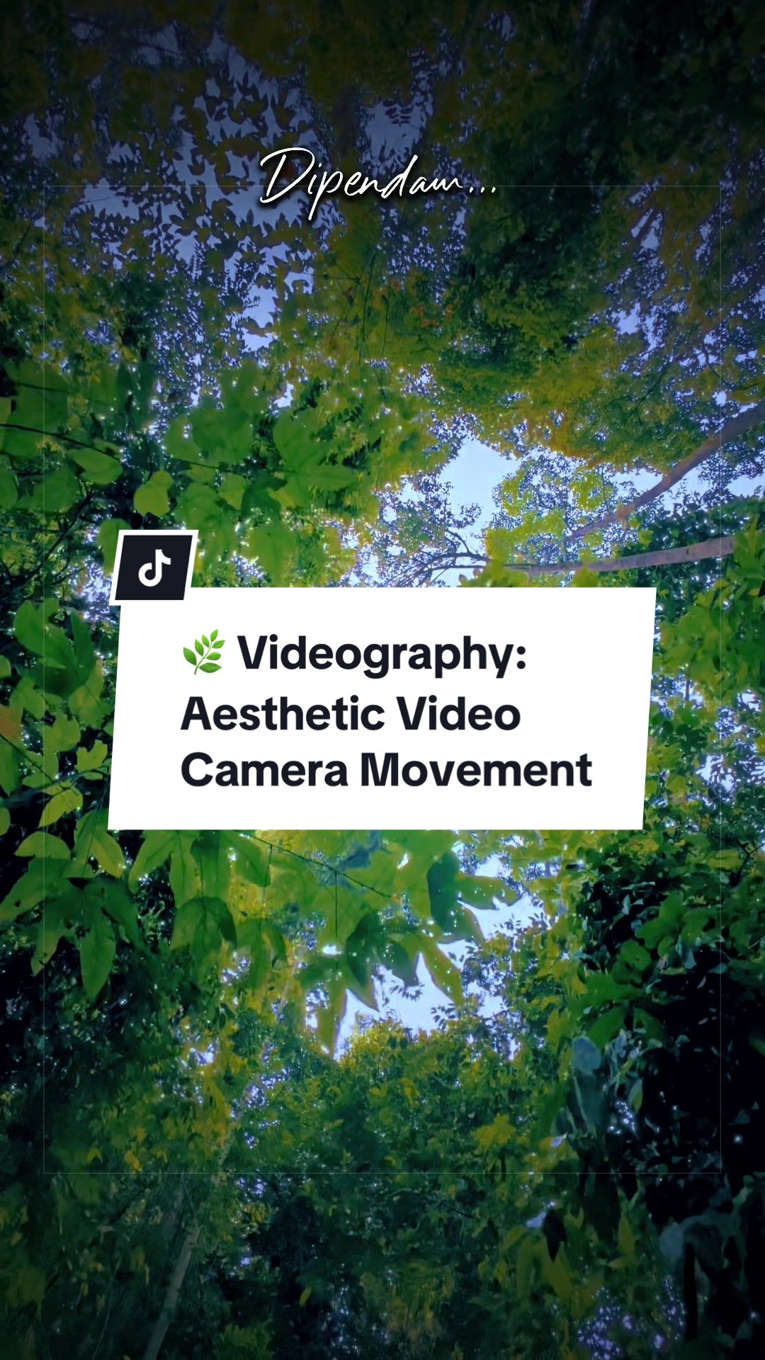 @Muhammad | Videographer