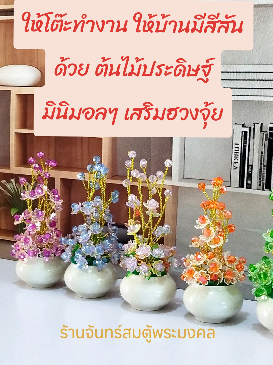 @ร้านจันทร์สม ตู้พระมงคล