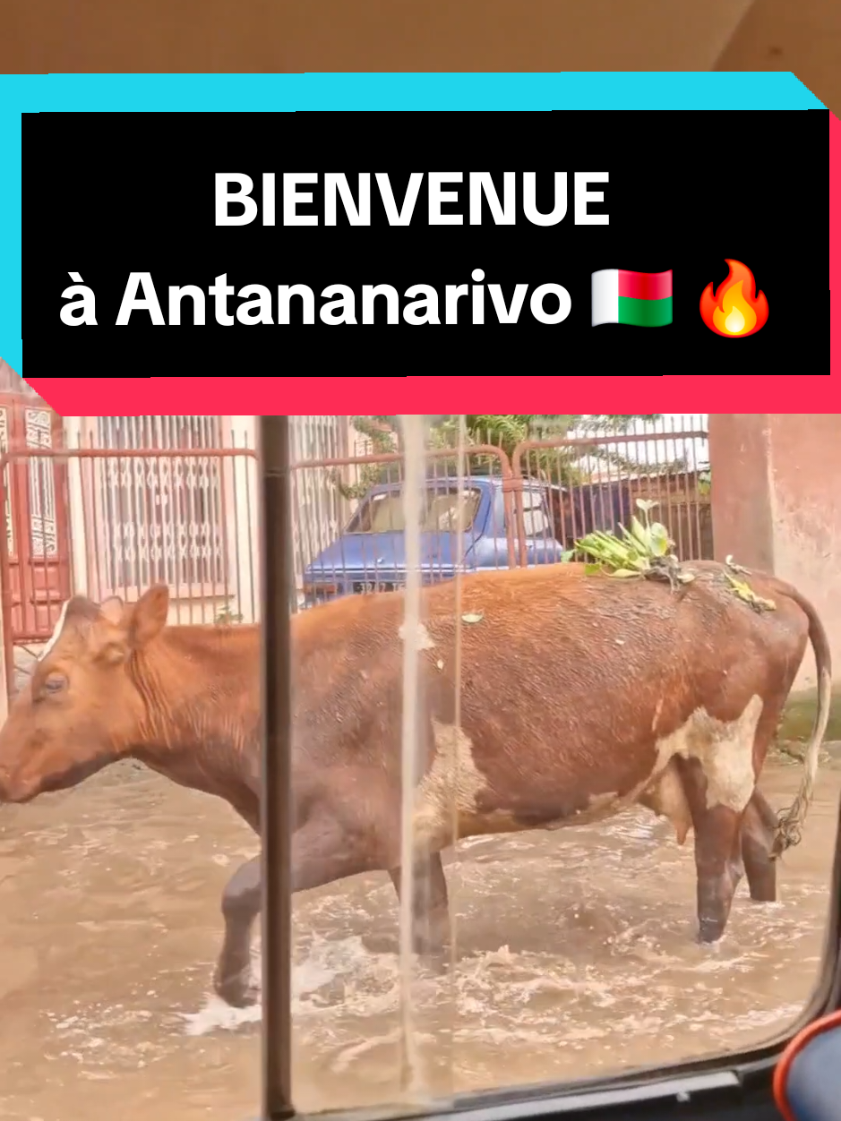 @Coach Alban✅️