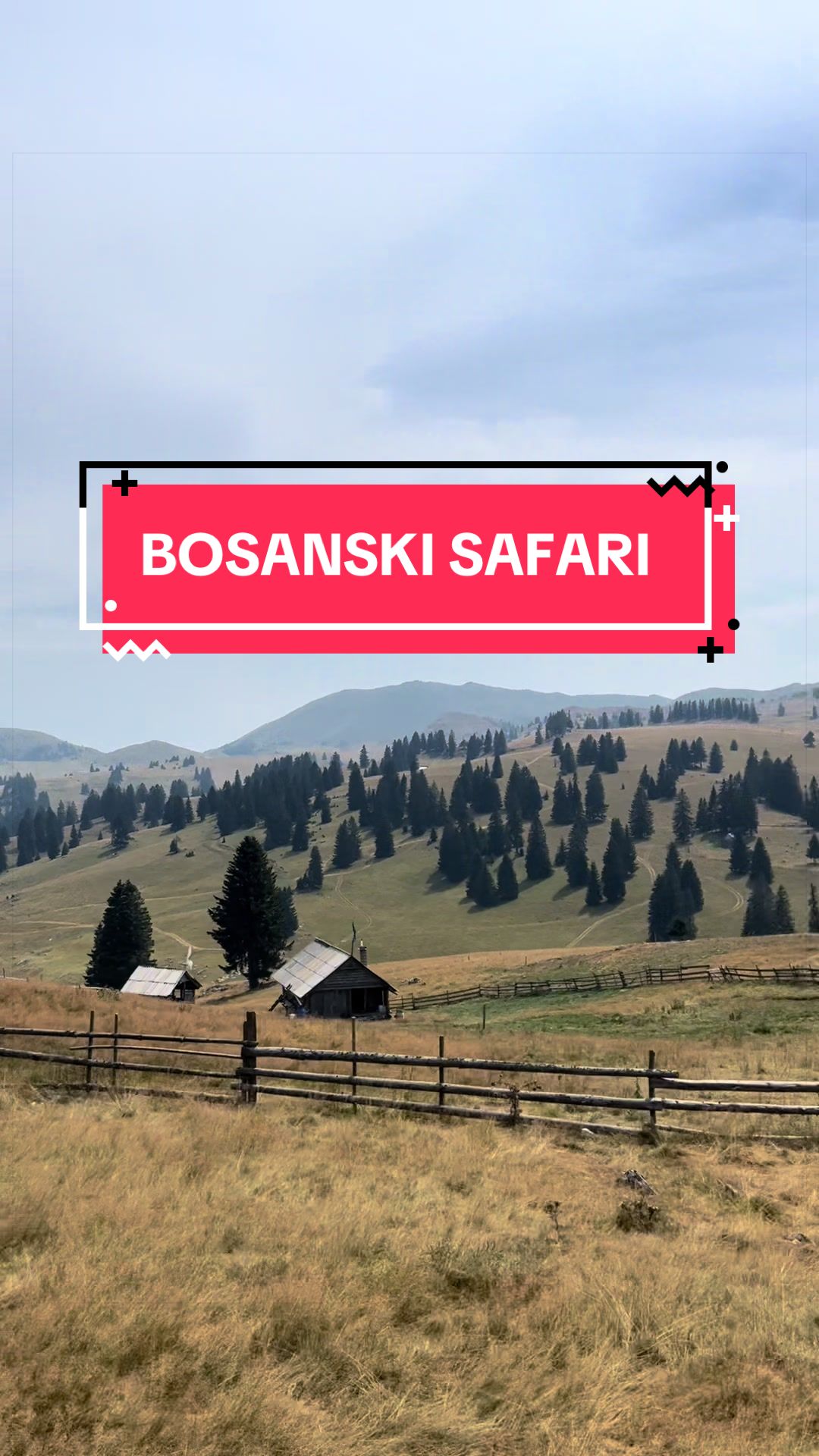 @vlasic.ba