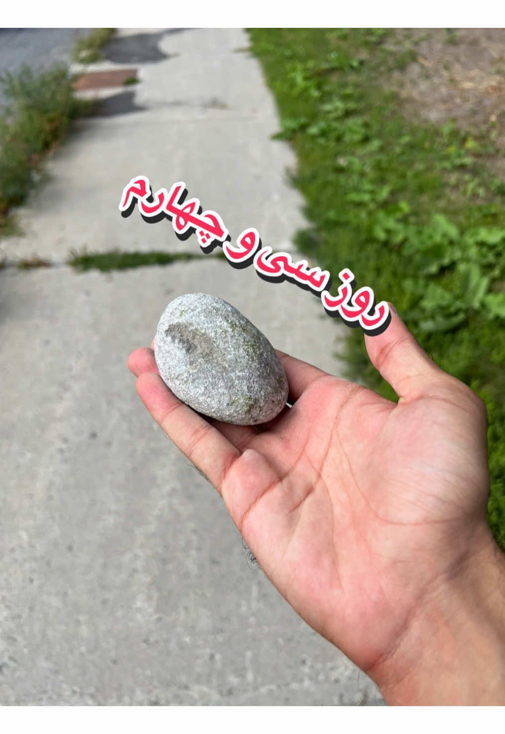 @قلی | یه حیوون خونگی متفاوت