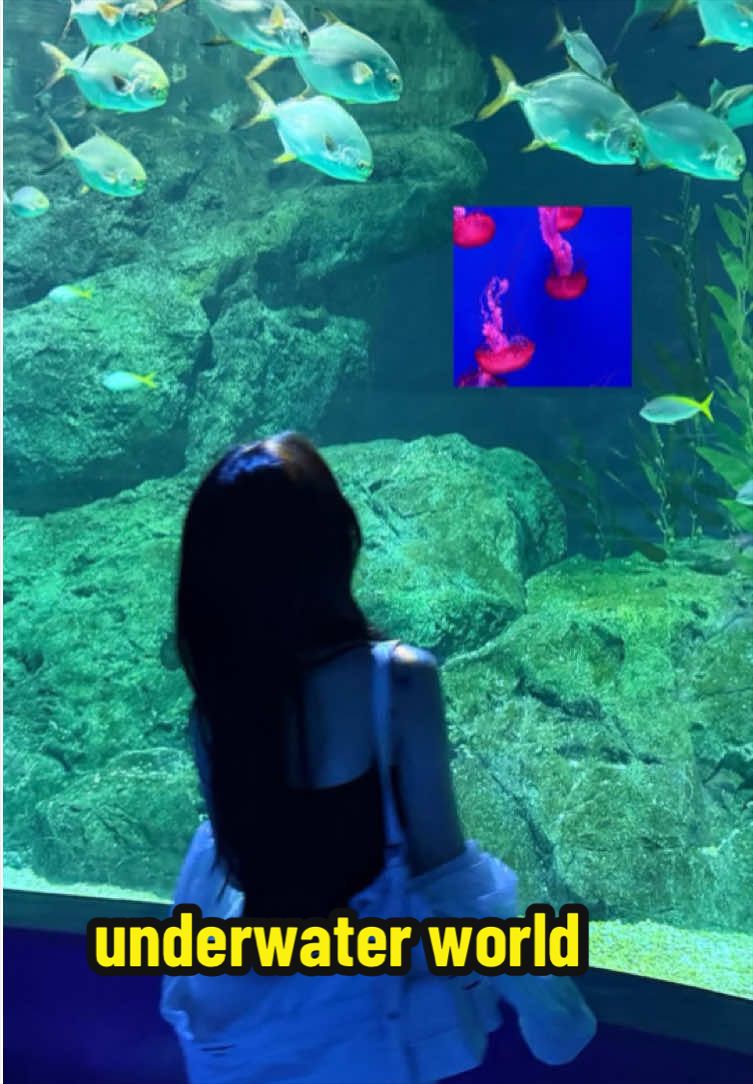 @ʚ🪻ɞ  Blue.oc ʚ🦋ɞ