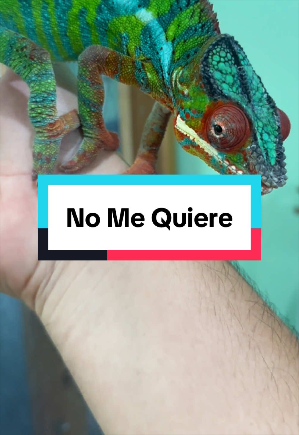 @ReptilMania