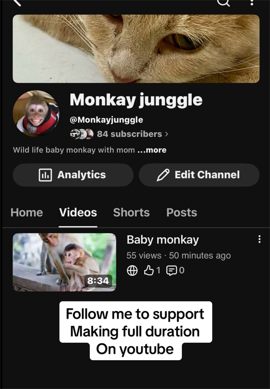 @Monkay Baby