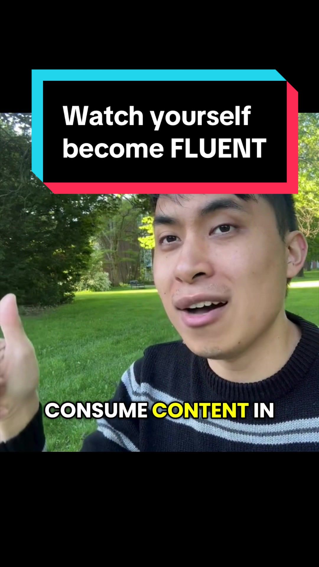 @✨ Nic The Polyglot ✨