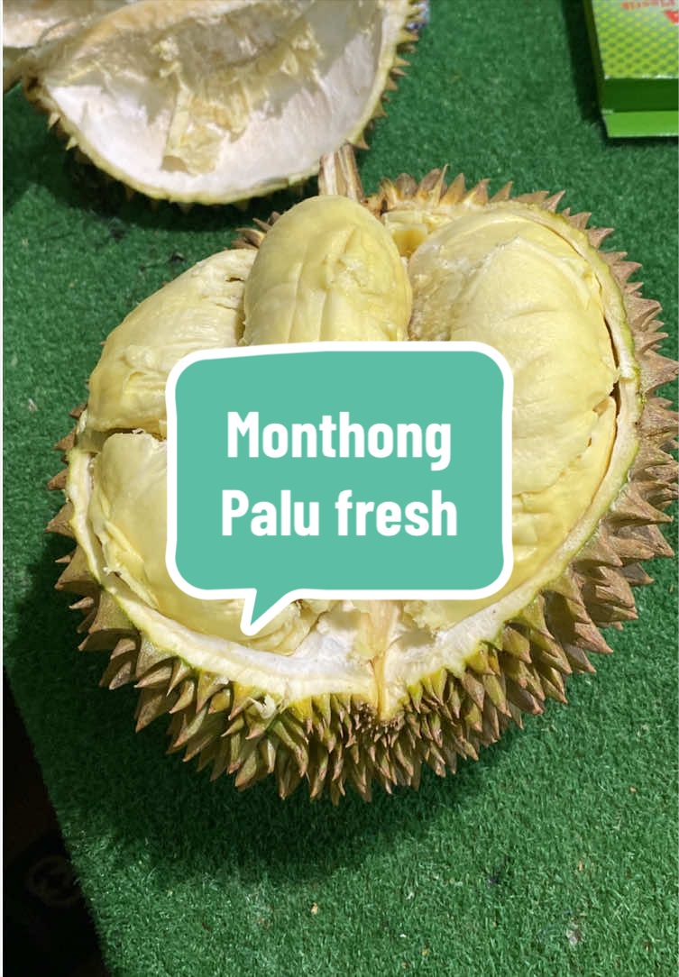 @Rumah Tamma Durian