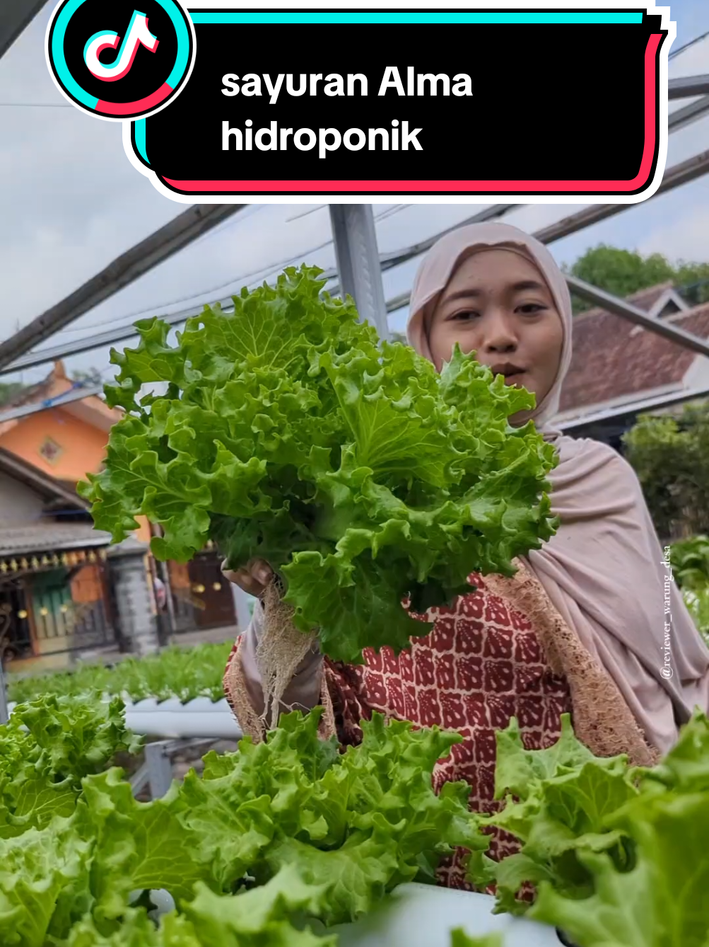 @reviewer Warung desa