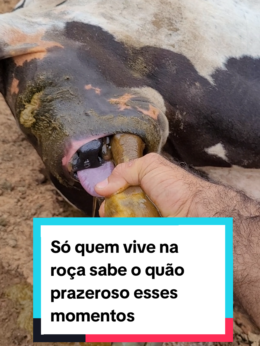 @Jardel Ferreira