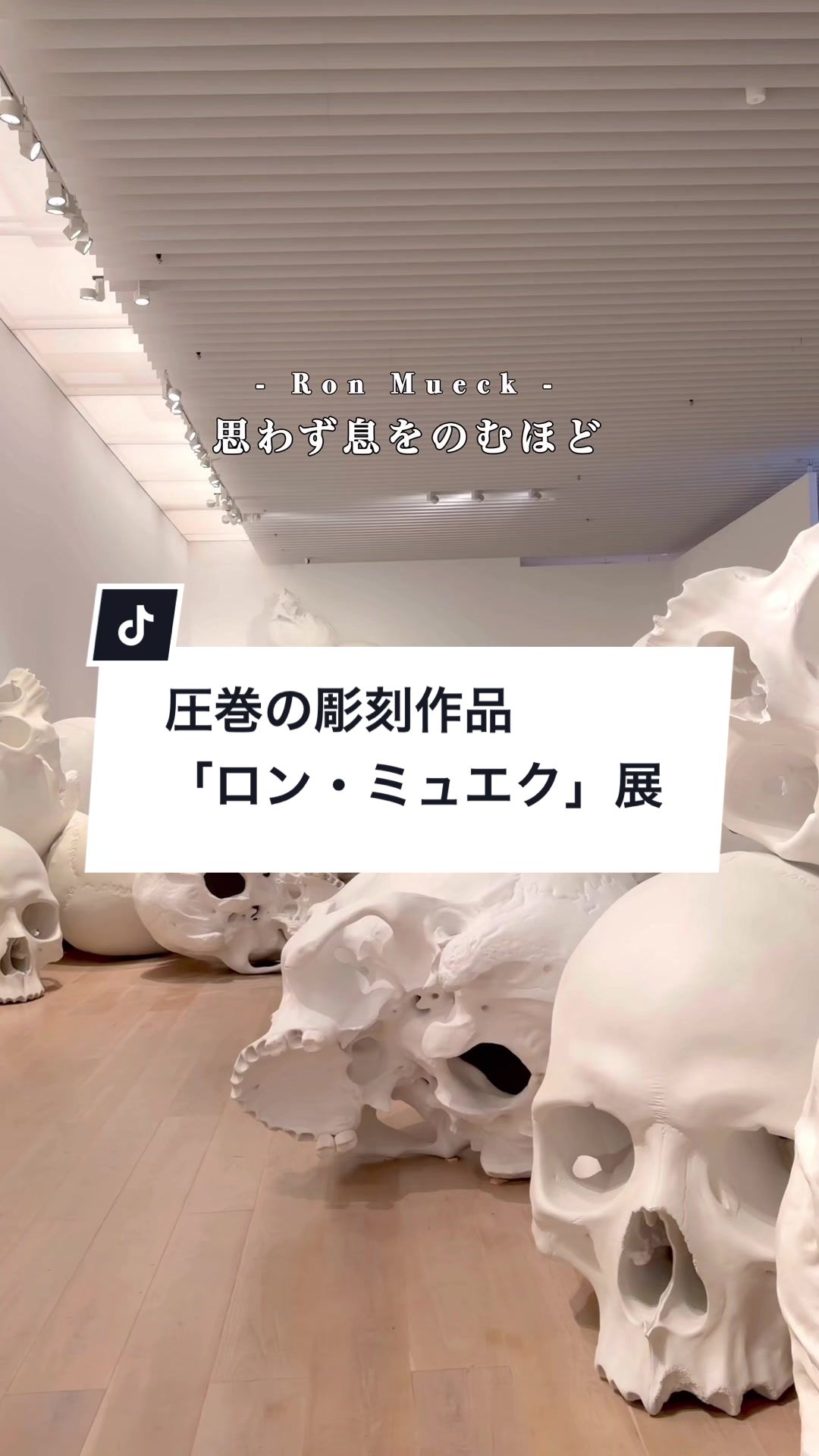 @MIZUKI | 東京おでかけスポット