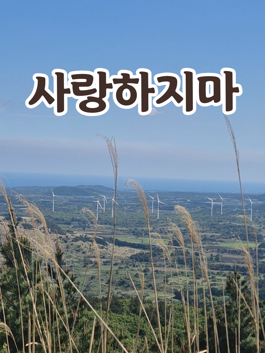 @송화찌