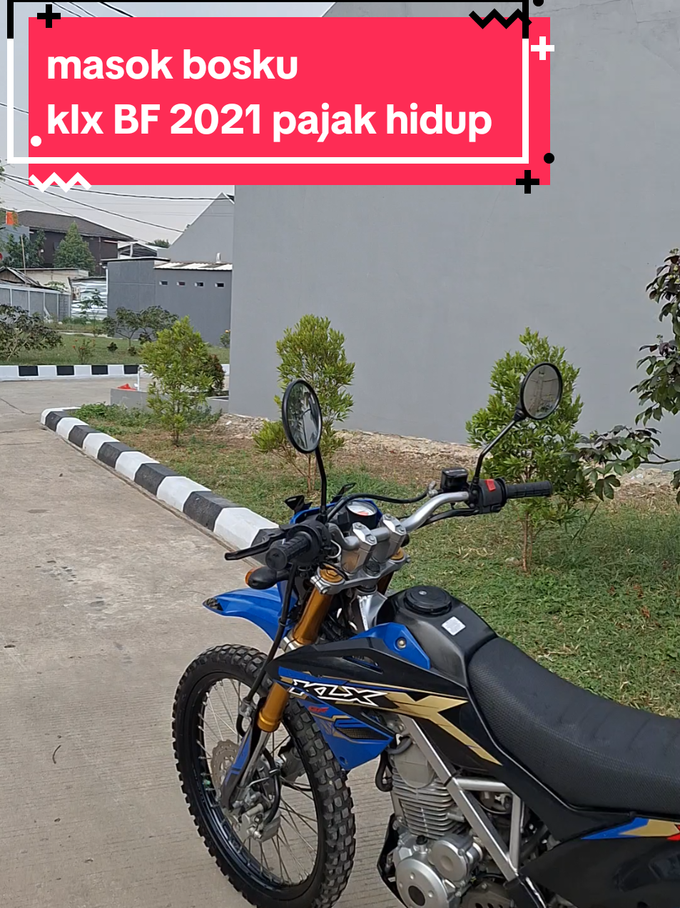 @dedmizta