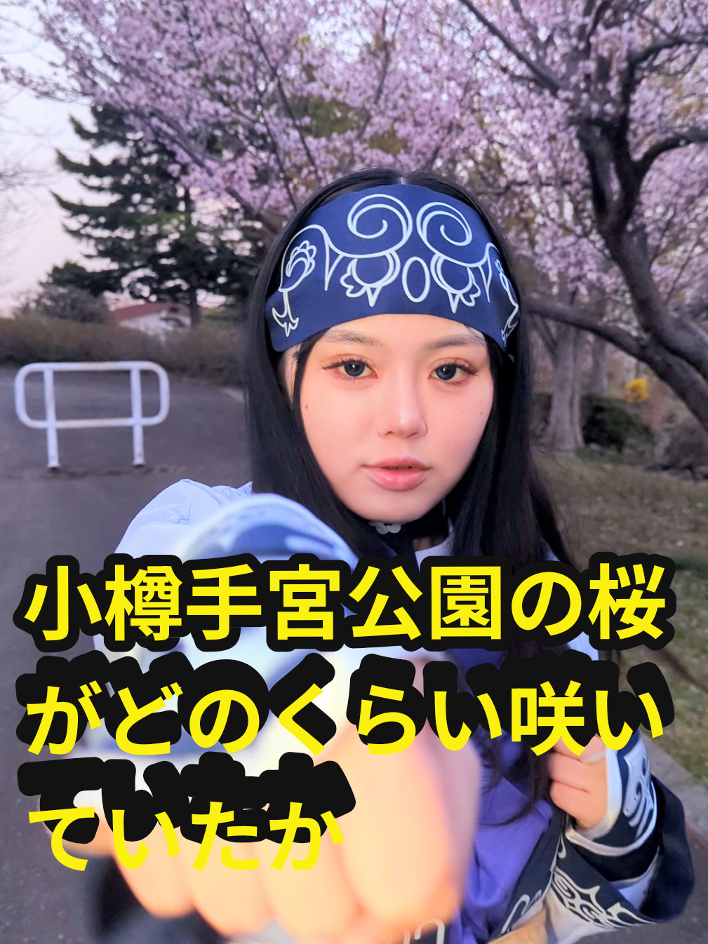 @U^ェ^U 小樽市に住む犬『まかろん』の飼い主