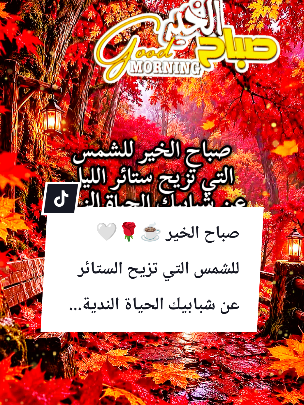 @🌟𝗦𝗼𝘂𝘇𝗮𝗻 𝗖𝗵𝗮𝗺𝘀