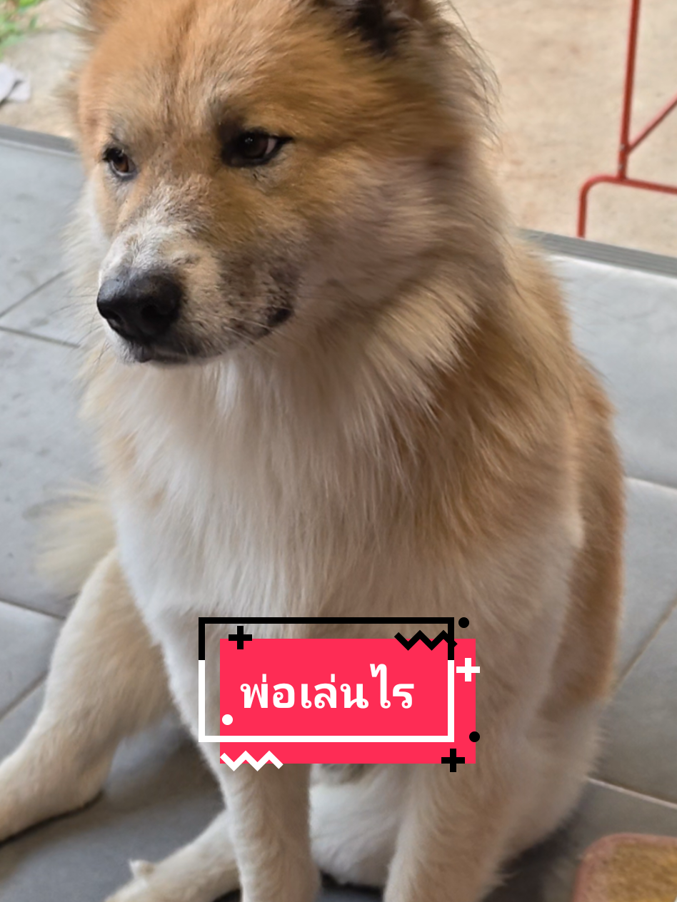 @หลิวหลิว แม่พี่ธอร์