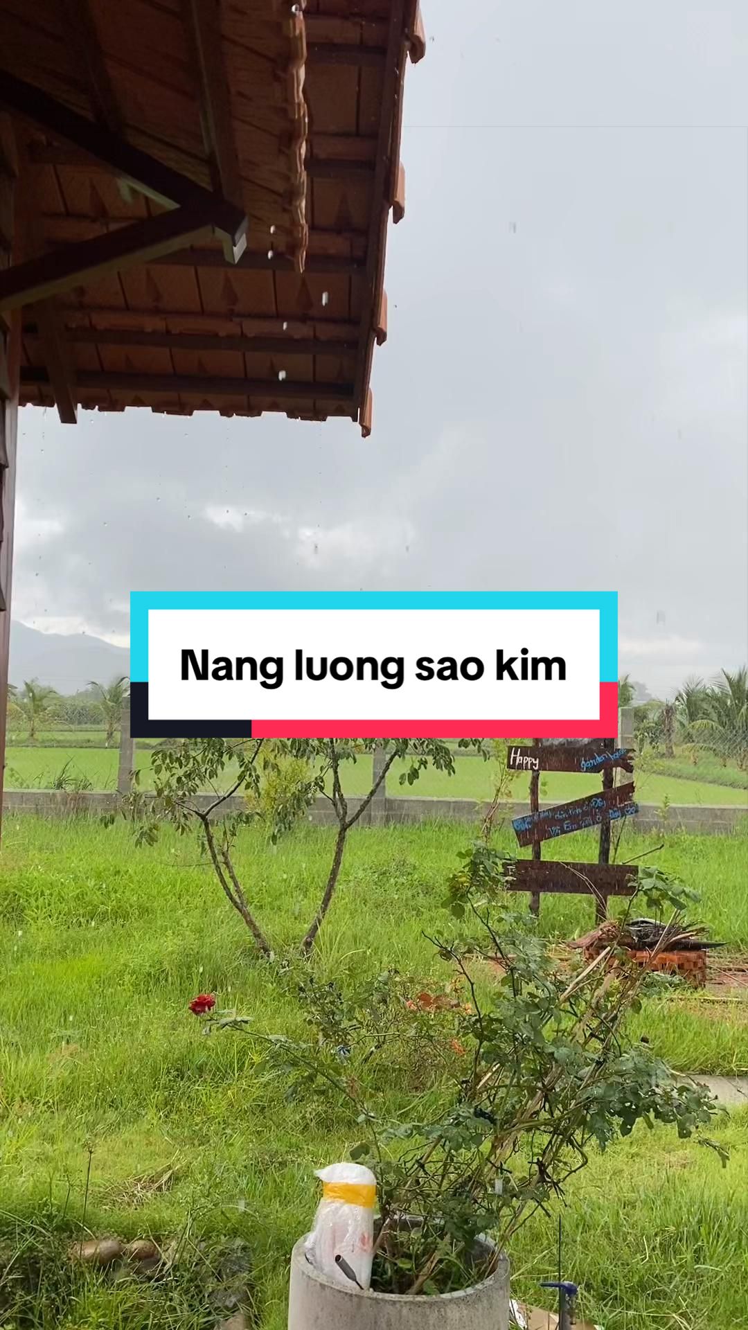 @NÔ XÌ WE