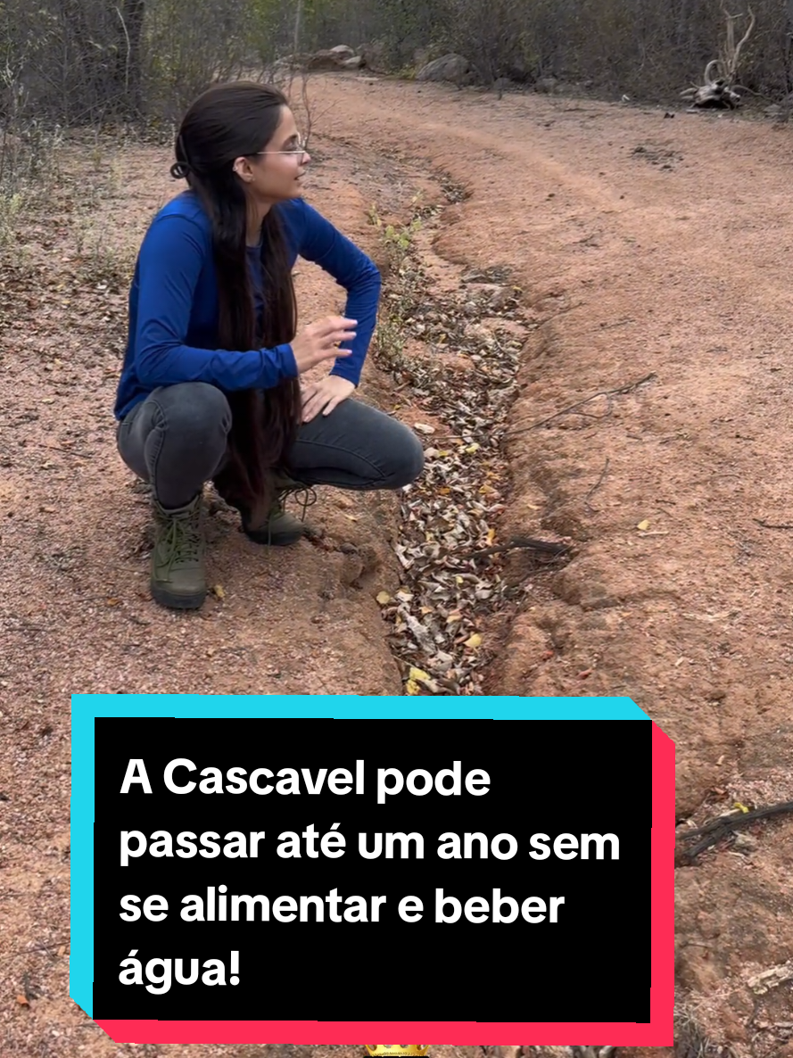 @Princesa das Serpentes