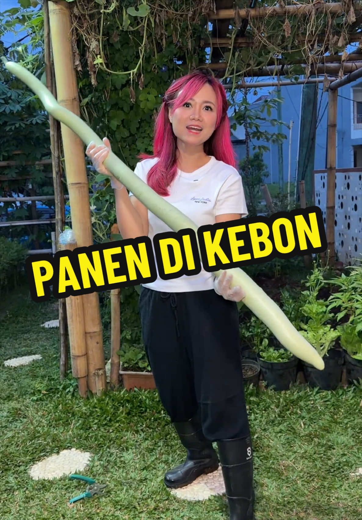 @Gina Angelia