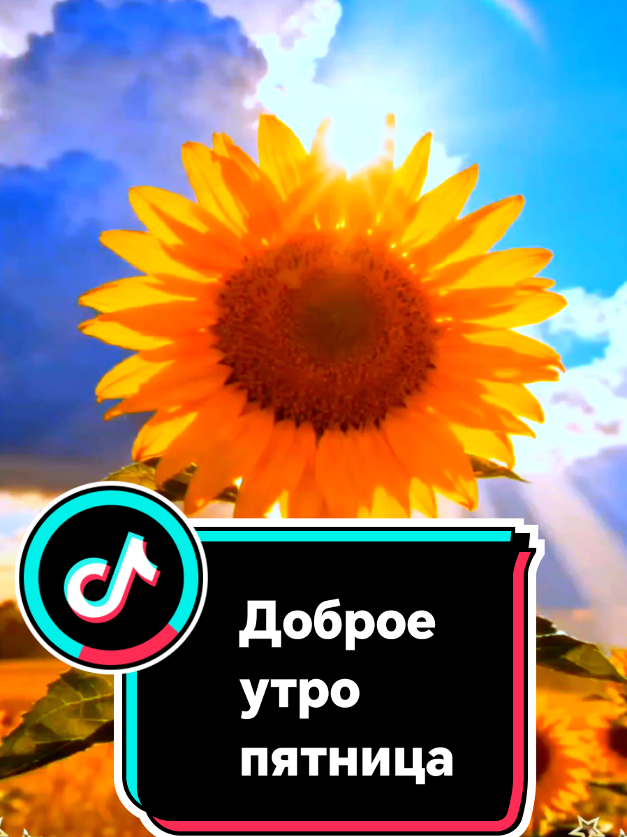 @꧁༺ 𝓛𝓮𝓷𝓸𝓬𝓱𝓴𝓪 ༻꧂