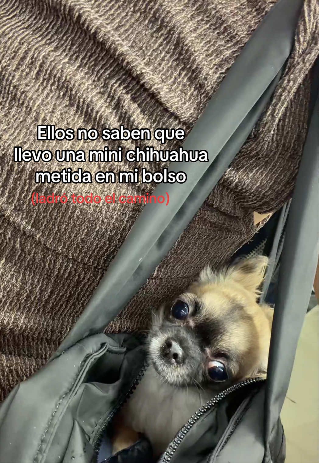@bichu