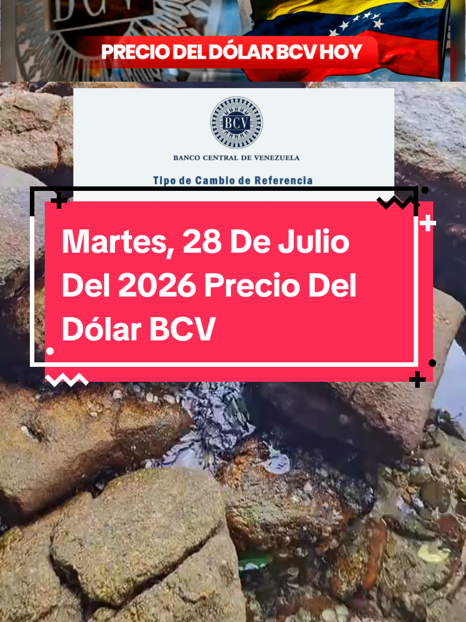 @😎 𝗠𝗿. 𝗠𝗼𝗹𝗶𝗻𝗮 🇻🇪💯