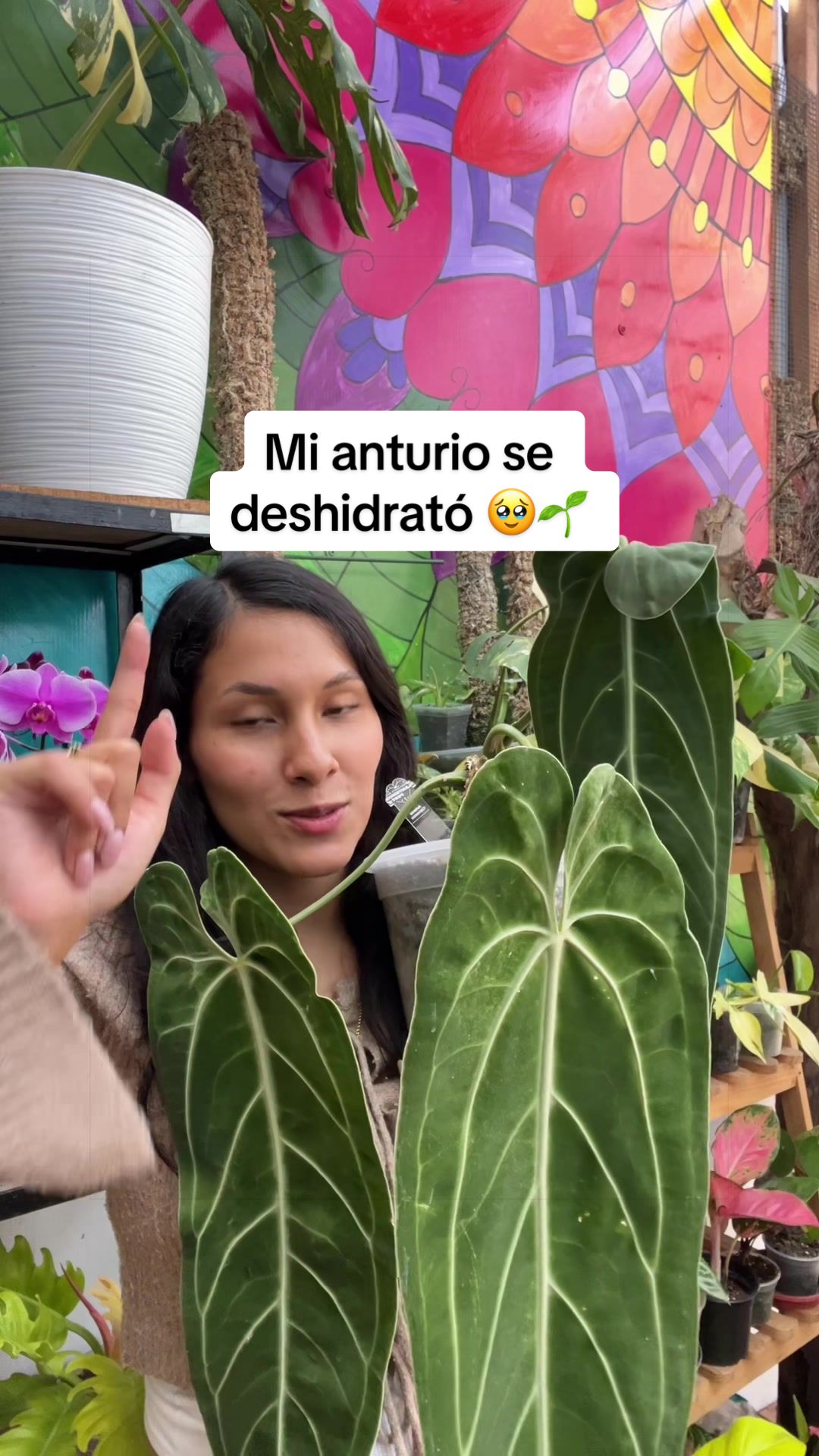 @arianacarrascolopez