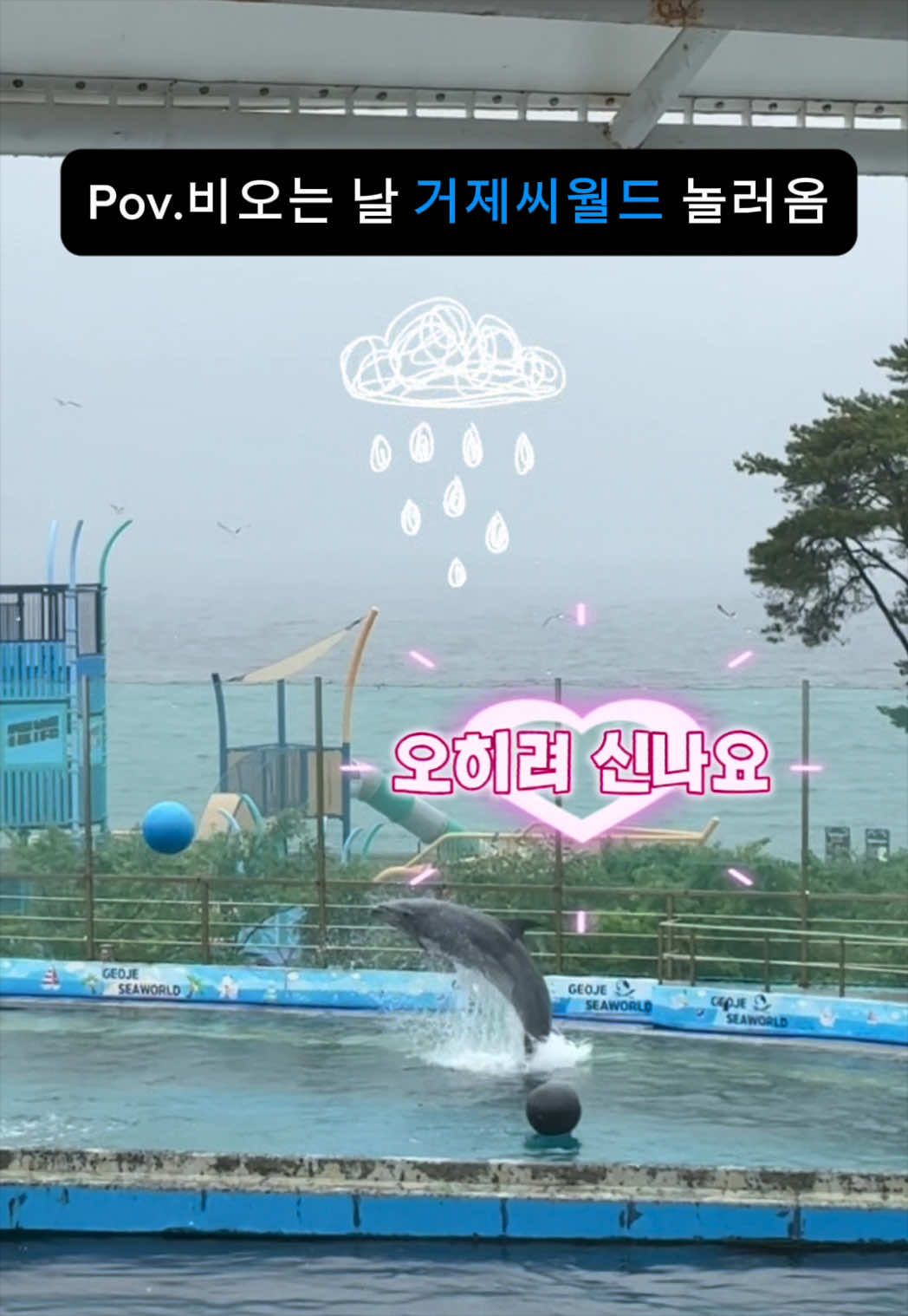 @DolphinTok