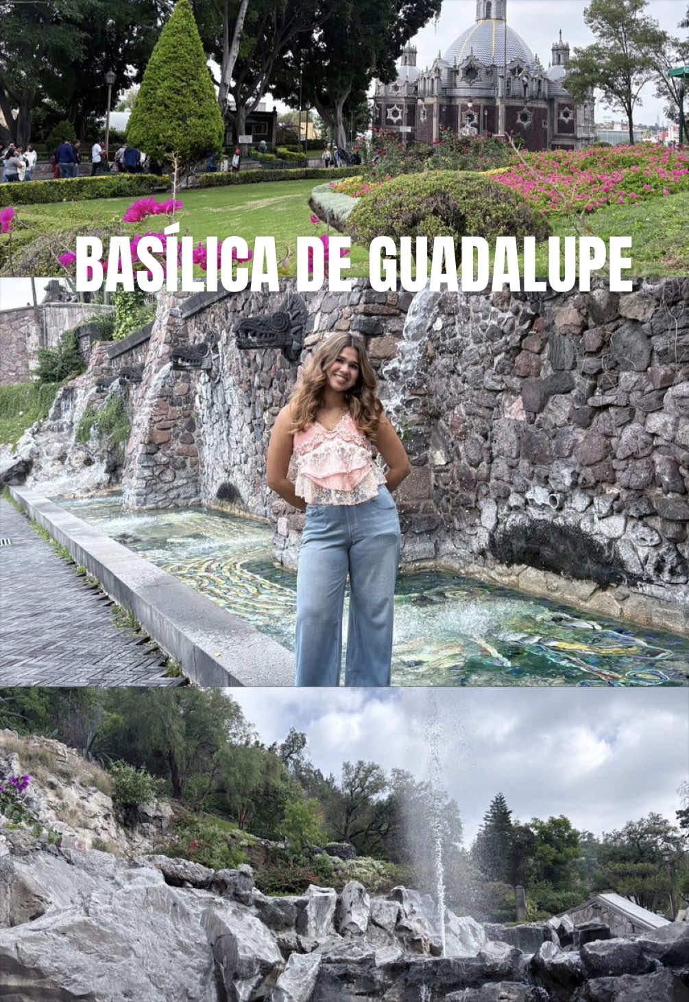 @Lizecilla🌺