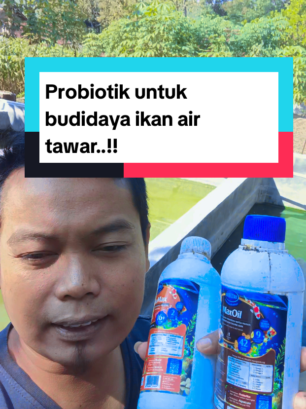 @Kang_Ewi