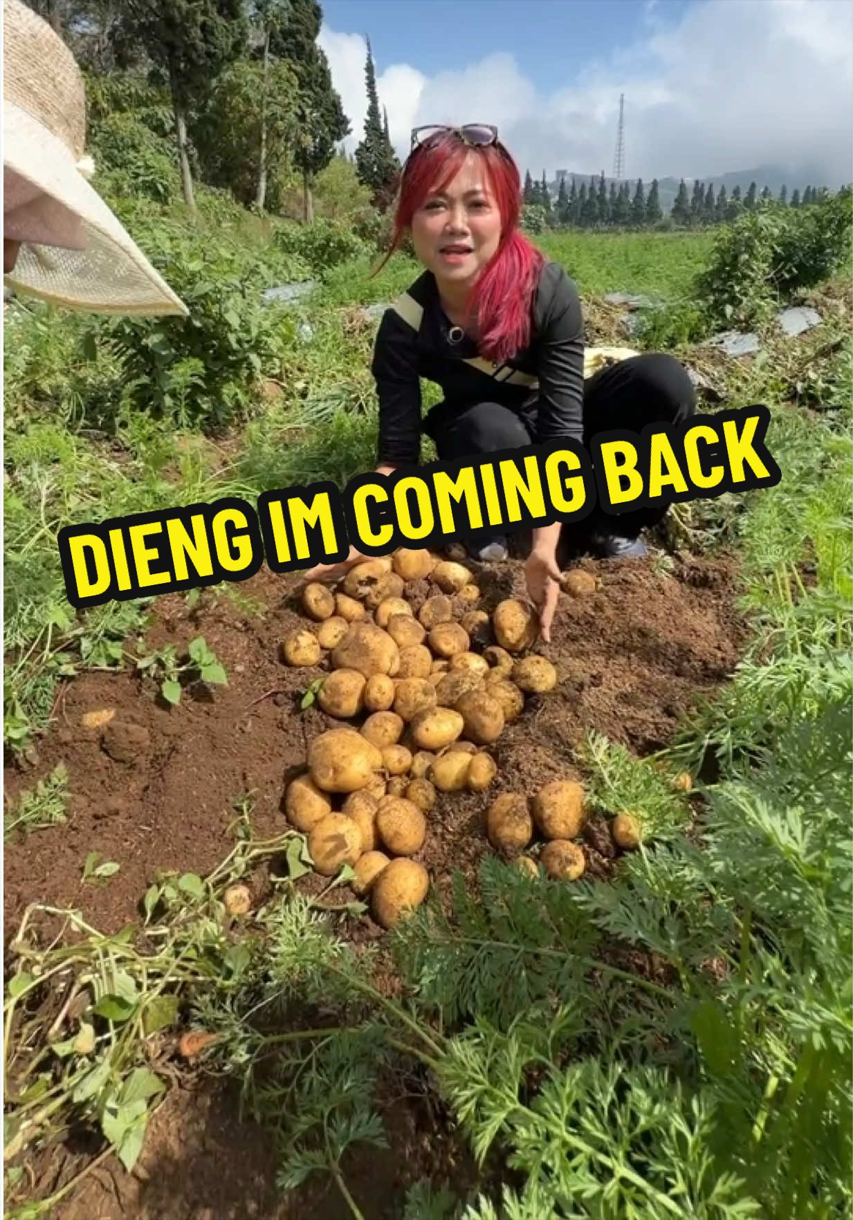 @Gina Angelia