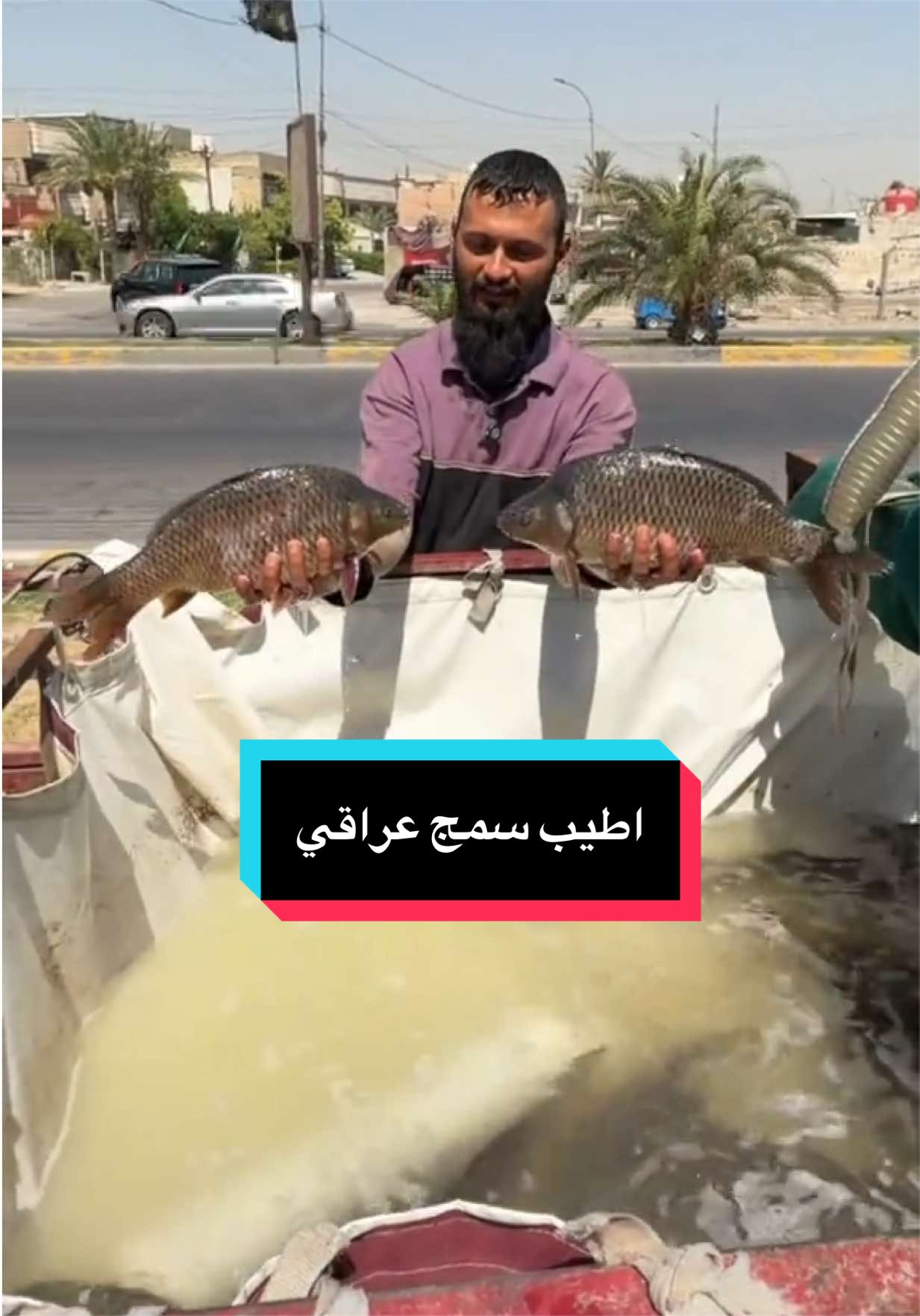 @جولات علي العراقي