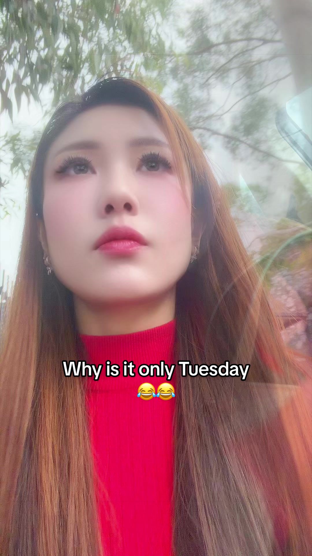 @☀️Lanny彩虹🌷🐑