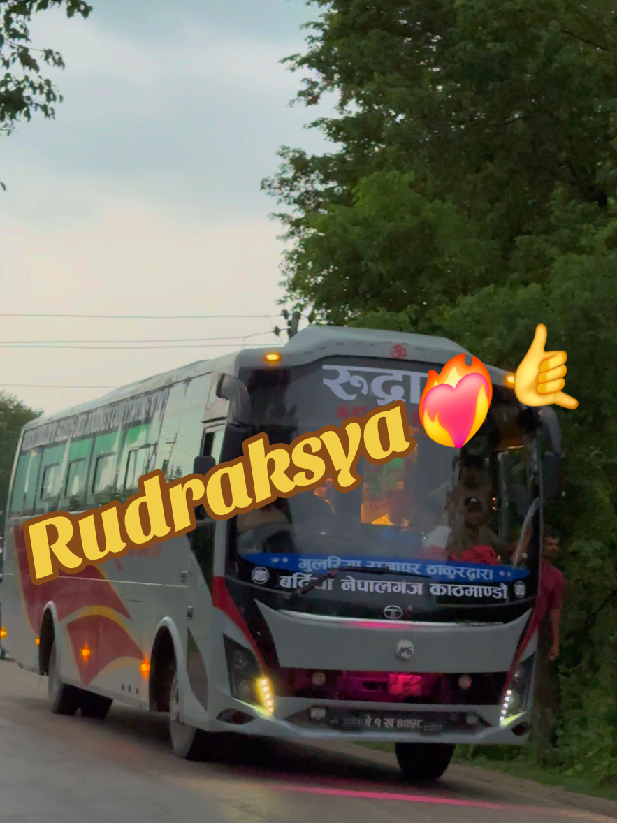 @Busesofnepal2✅️