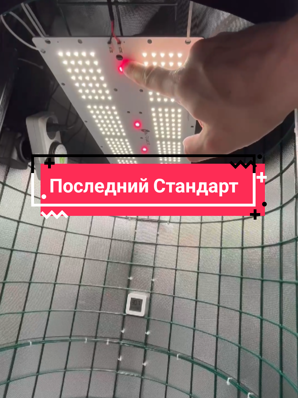 @Growtube